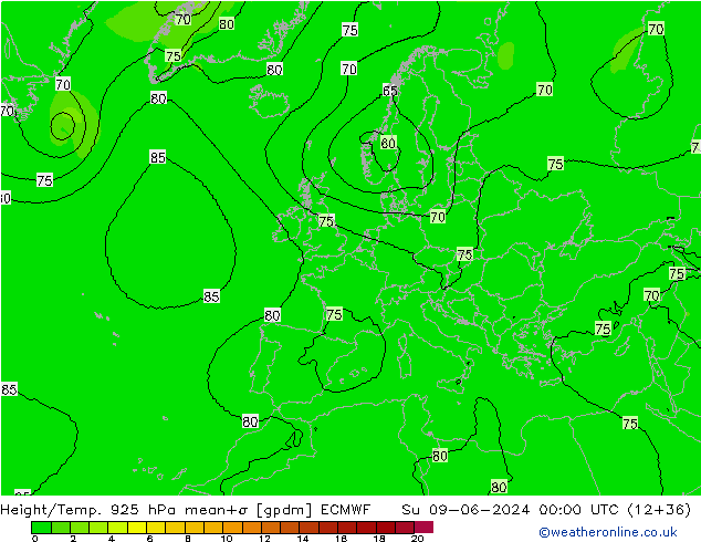 Height/Temp. 925 hPa ECMWF So 09.06.2024 00 UTC