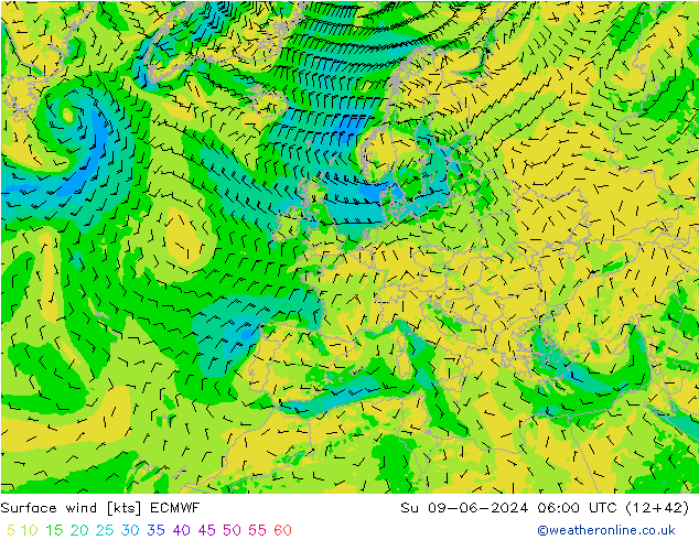 Vento 10 m ECMWF dom 09.06.2024 06 UTC