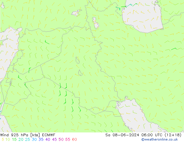  sam 08.06.2024 06 UTC