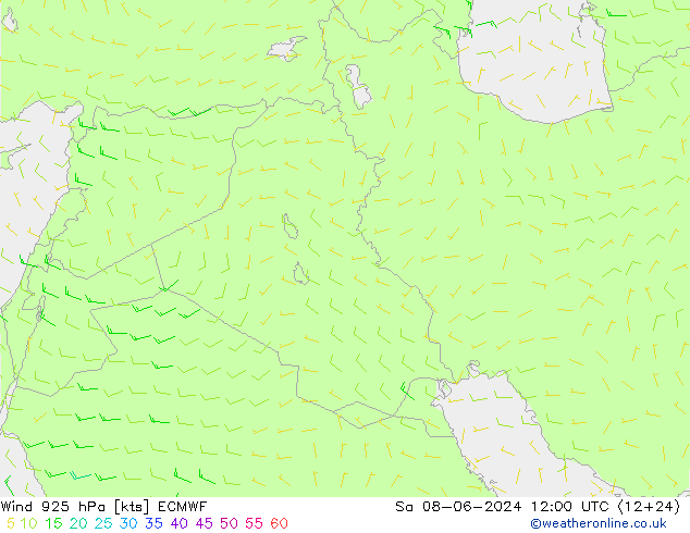  sam 08.06.2024 12 UTC