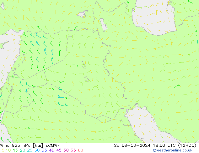  sam 08.06.2024 18 UTC