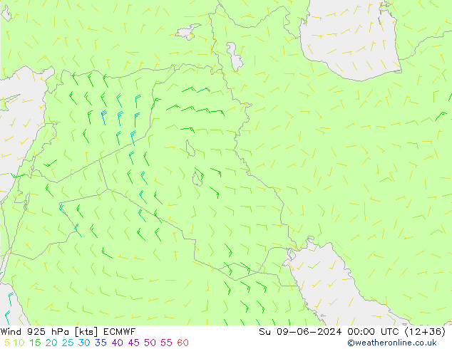  dim 09.06.2024 00 UTC