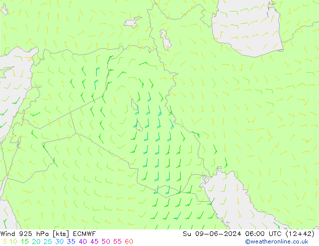  dim 09.06.2024 06 UTC