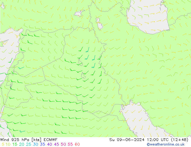  dim 09.06.2024 12 UTC