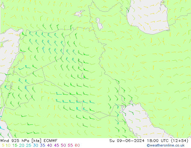  dim 09.06.2024 18 UTC