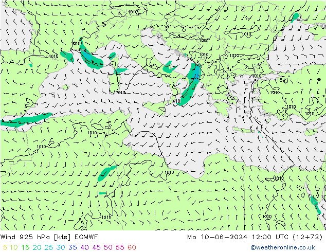  925 hPa ECMWF  10.06.2024 12 UTC