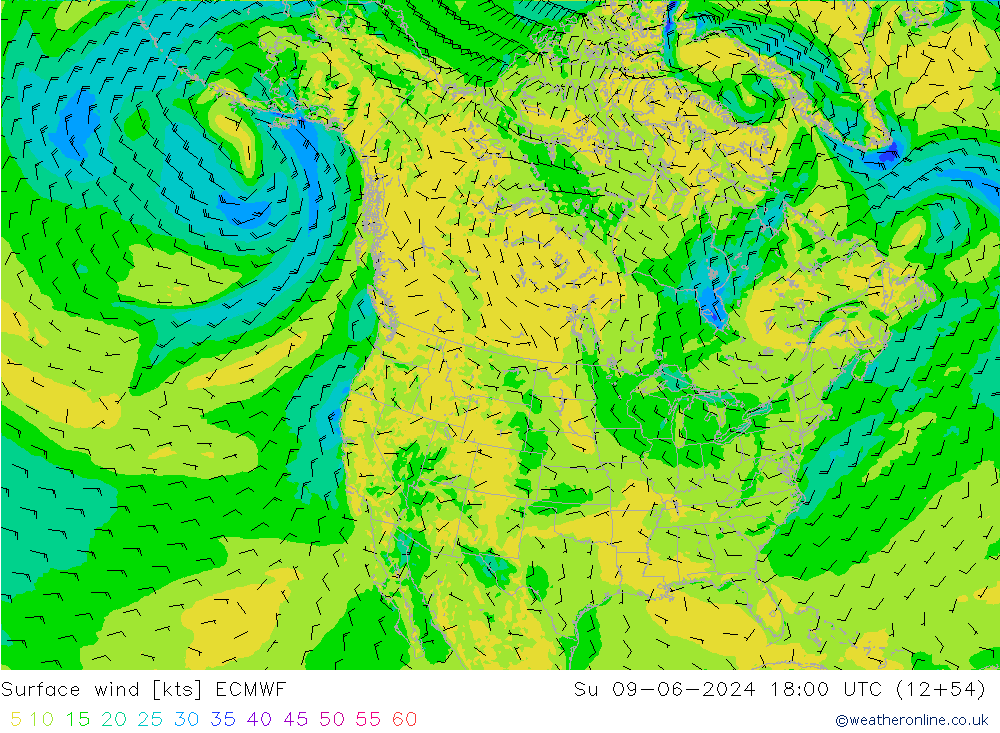 Surface wind ECMWF Su 09.06.2024 18 UTC