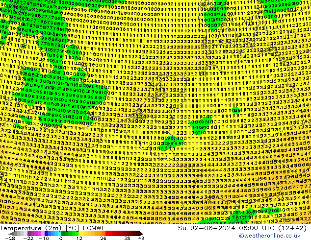     ECMWF  09.06.2024 06 UTC