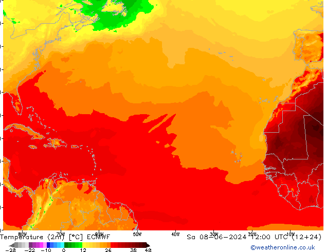 Temperatuurkaart (2m) ECMWF za 08.06.2024 12 UTC