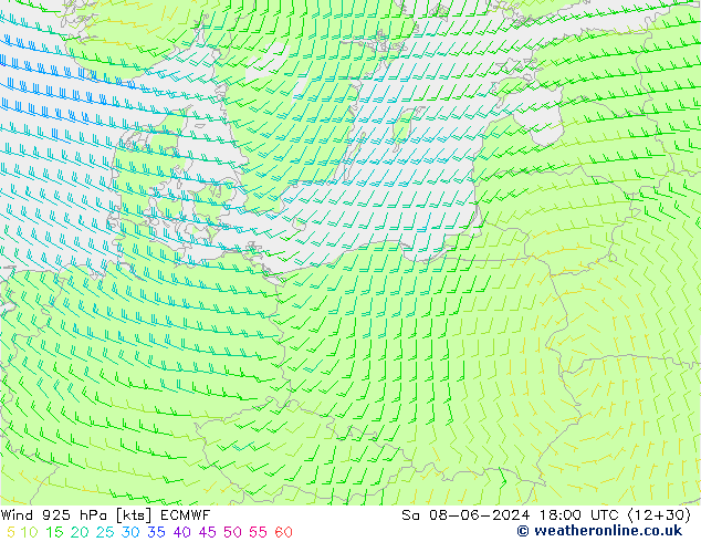 ветер 925 гПа ECMWF сб 08.06.2024 18 UTC