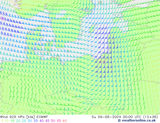  Ne 09.06.2024 00 UTC