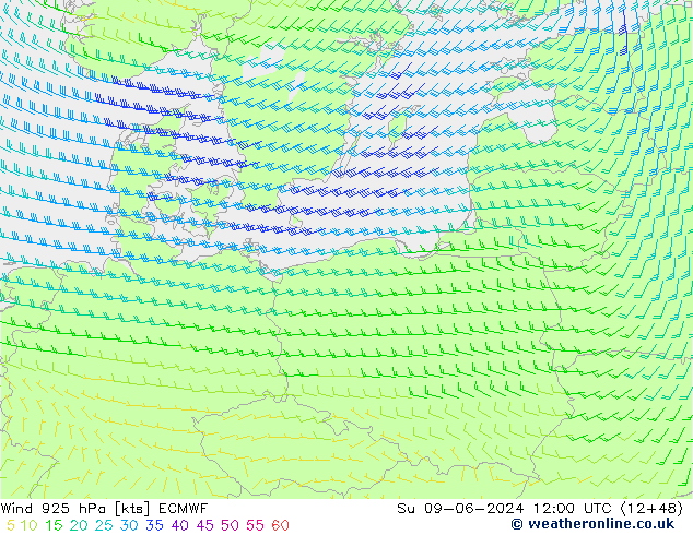  Ne 09.06.2024 12 UTC