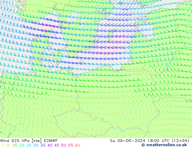 Vento 925 hPa ECMWF Dom 09.06.2024 18 UTC