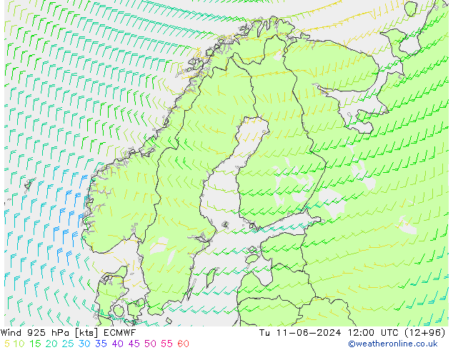 Wind 925 hPa ECMWF Tu 11.06.2024 12 UTC