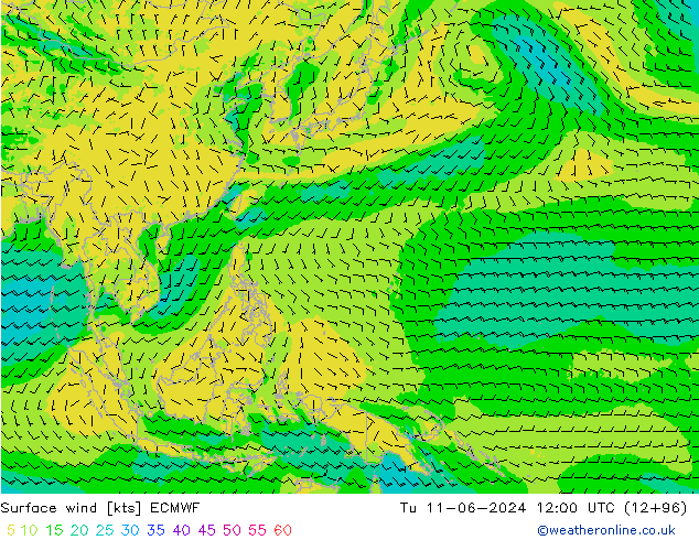 ветер 10 m ECMWF вт 11.06.2024 12 UTC