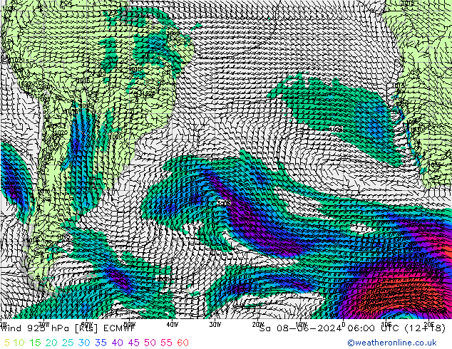 ветер 925 гПа ECMWF сб 08.06.2024 06 UTC