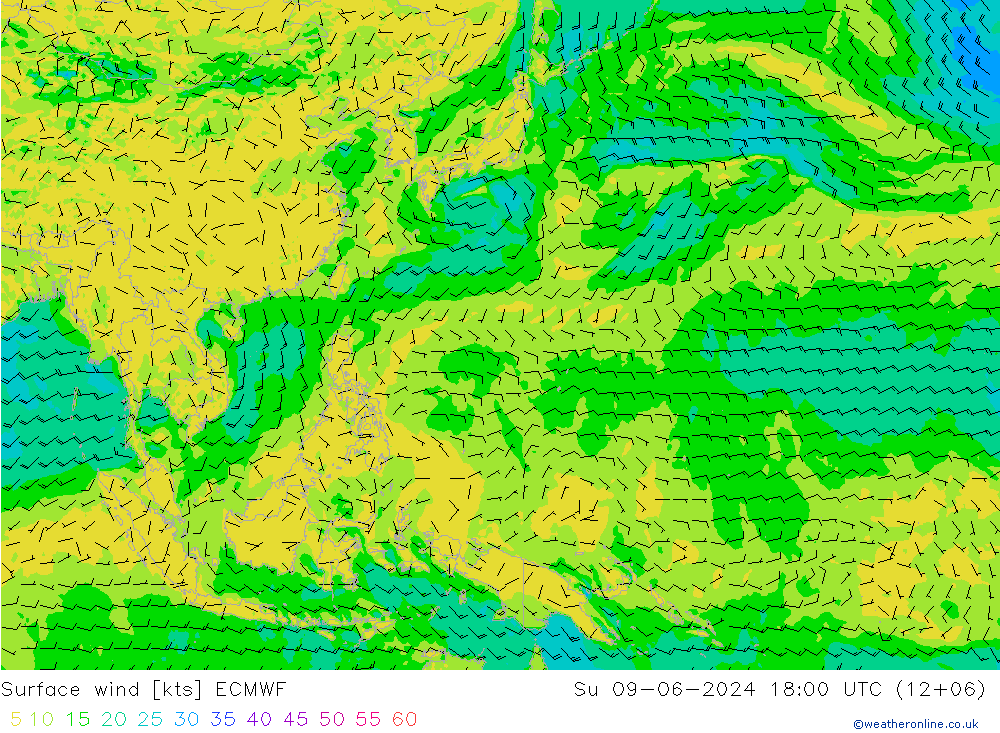 Vent 10 m ECMWF dim 09.06.2024 18 UTC