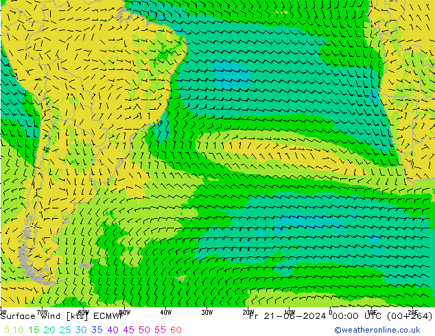Surface wind ECMWF Fr 21.06.2024 00 UTC