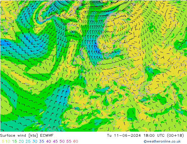 Vento 10 m ECMWF Ter 11.06.2024 18 UTC