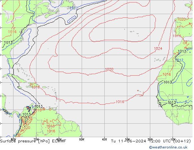 Surface pressure ECMWF Tu 11.06.2024 12 UTC