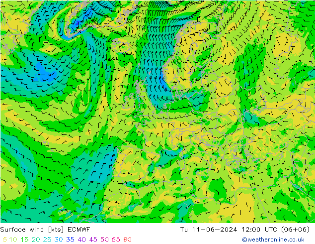 ветер 10 m ECMWF вт 11.06.2024 12 UTC