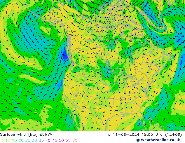 Surface wind ECMWF Tu 11.06.2024 18 UTC