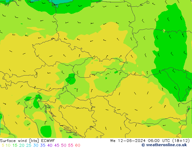 Surface wind ECMWF We 12.06.2024 06 UTC