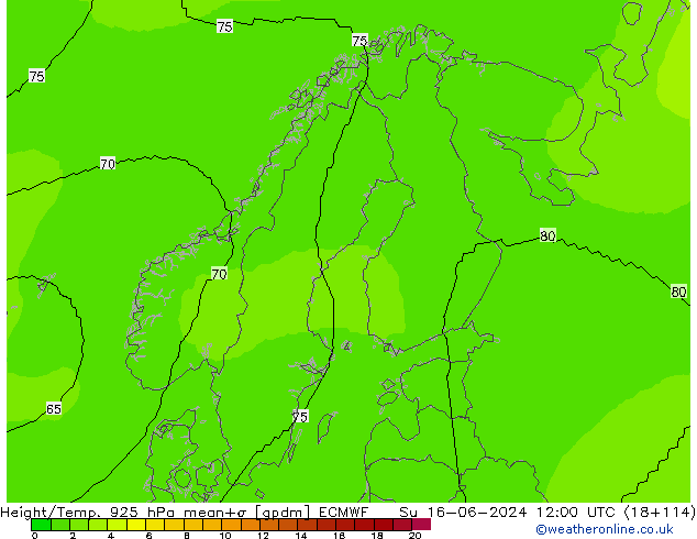 Géop./Temp. 925 hPa ECMWF dim 16.06.2024 12 UTC