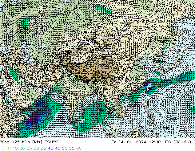 Vento 925 hPa ECMWF Sex 14.06.2024 12 UTC