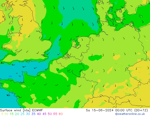 Bodenwind ECMWF Sa 15.06.2024 00 UTC