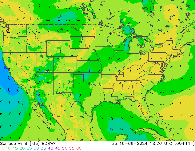  10 m ECMWF  16.06.2024 18 UTC