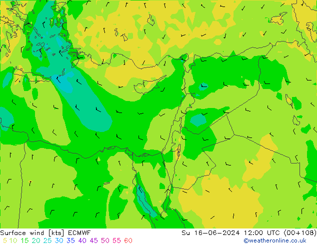 Surface wind ECMWF Su 16.06.2024 12 UTC