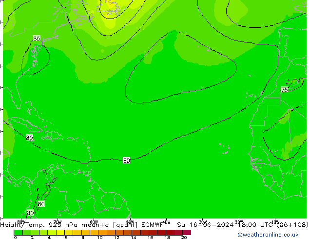 Geop./Temp. 925 hPa ECMWF dom 16.06.2024 18 UTC