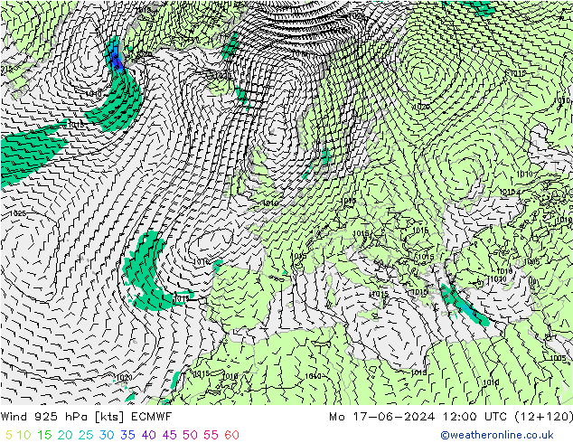 ветер 925 гПа ECMWF пн 17.06.2024 12 UTC
