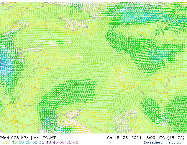 Rüzgar 925 hPa ECMWF Cts 15.06.2024 18 UTC
