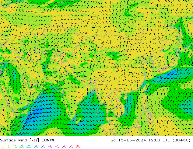 Wind 10 m ECMWF za 15.06.2024 12 UTC