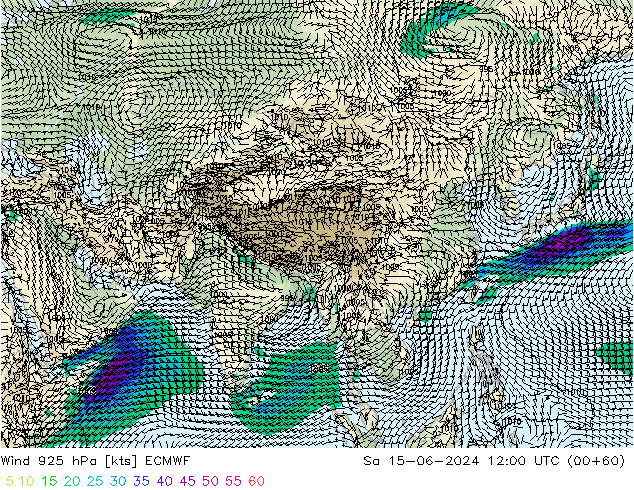 Vento 925 hPa ECMWF sab 15.06.2024 12 UTC