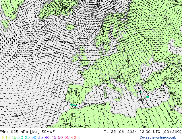 Wind 925 hPa ECMWF Di 25.06.2024 12 UTC
