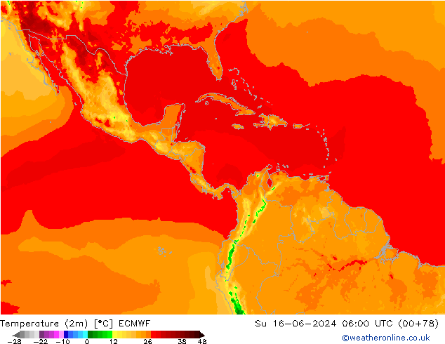 карта температуры ECMWF Вс 16.06.2024 06 UTC