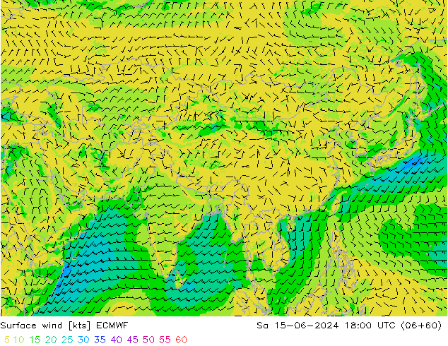 Surface wind ECMWF So 15.06.2024 18 UTC