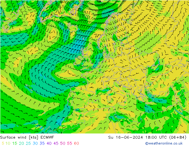 Bodenwind ECMWF So 16.06.2024 18 UTC