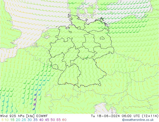 ветер 925 гПа ECMWF вт 18.06.2024 06 UTC