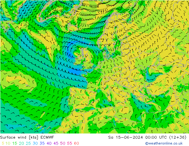 Wind 10 m ECMWF za 15.06.2024 00 UTC