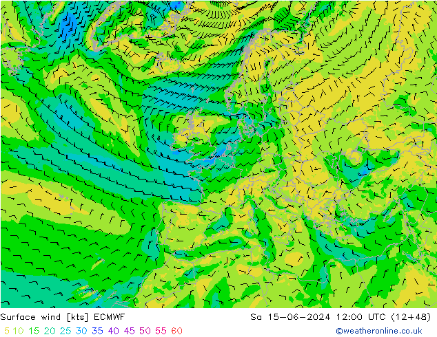 Wind 10 m ECMWF za 15.06.2024 12 UTC