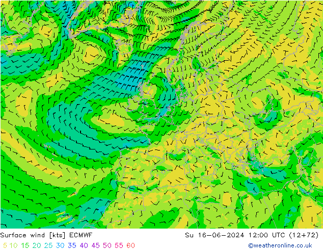 Rüzgar 10 m ECMWF Paz 16.06.2024 12 UTC