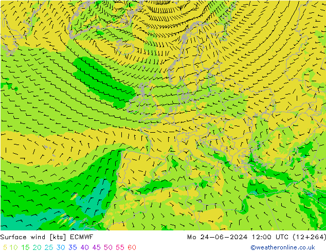 Bodenwind ECMWF Mo 24.06.2024 12 UTC