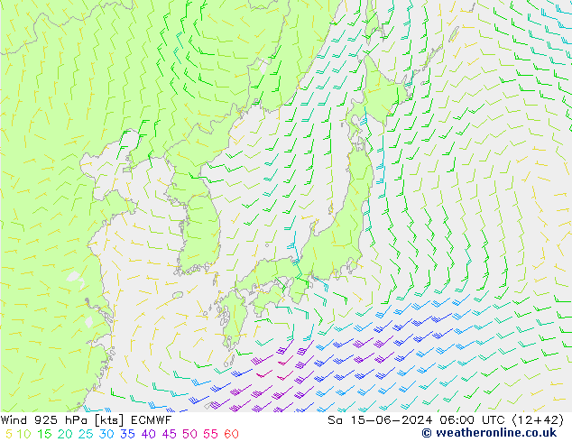  925 hPa ECMWF  15.06.2024 06 UTC