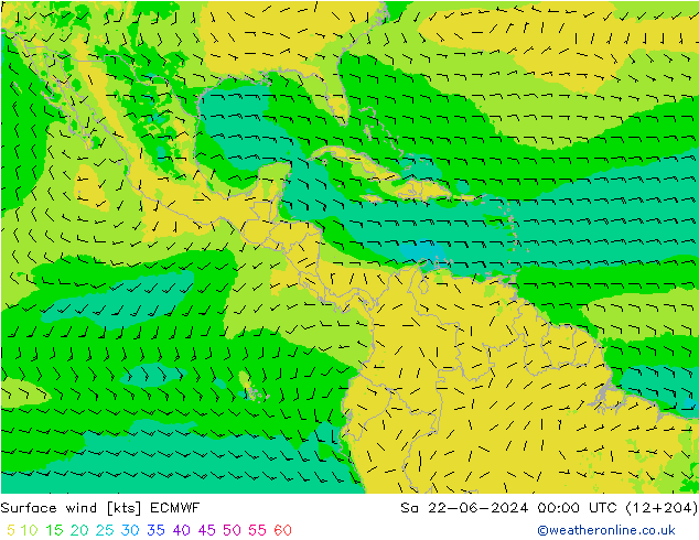 Wind 10 m ECMWF za 22.06.2024 00 UTC