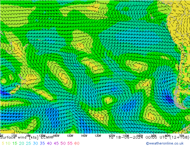 Bodenwind ECMWF Di 18.06.2024 00 UTC