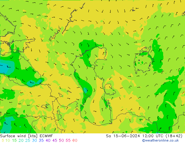 Surface wind ECMWF Sa 15.06.2024 12 UTC